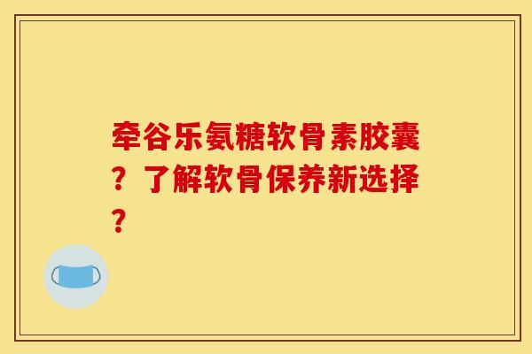 牵谷乐氨糖软骨素胶囊？了解软骨保养新选择？
