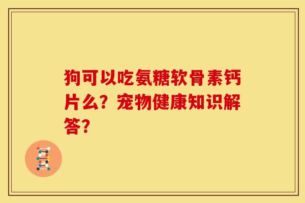狗可以吃氨糖软骨素钙片么？宠物健康知识解答？