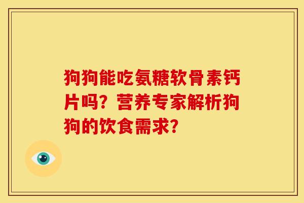 狗狗能吃氨糖软骨素钙片吗？营养专家解析狗狗的饮食需求？