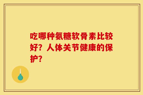 吃哪种氨糖软骨素比较好？人体关节健康的保护？