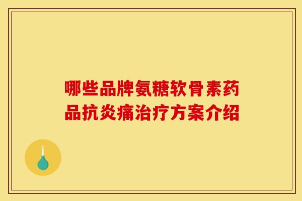 哪些品牌氨糖软骨素药品抗炎痛治疗方案介绍