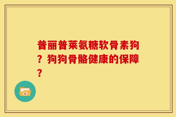 普丽普莱氨糖软骨素狗？狗狗骨骼健康的保障？