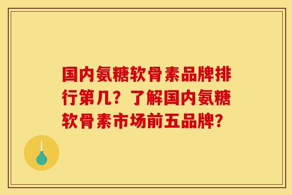 国内氨糖软骨素品牌排行第几？了解国内氨糖软骨素市场前五品牌？