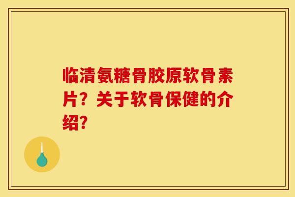 临清氨糖骨胶原软骨素片？关于软骨保健的介绍？