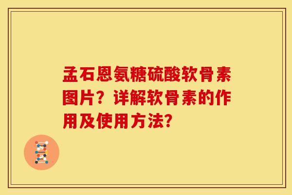 孟石恩氨糖硫酸软骨素图片？详解软骨素的作用及使用方法？