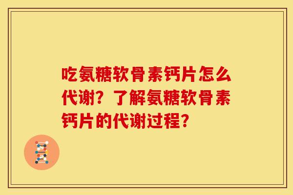 吃氨糖软骨素钙片怎么代谢？了解氨糖软骨素钙片的代谢过程？