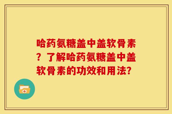 哈药氨糖盖中盖软骨素？了解哈药氨糖盖中盖软骨素的功效和用法？