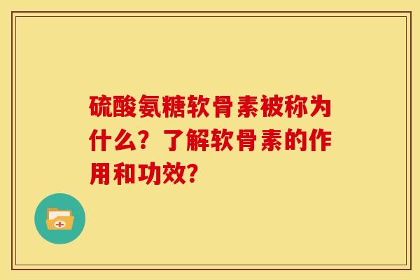 硫酸氨糖软骨素被称为什么？了解软骨素的作用和功效？