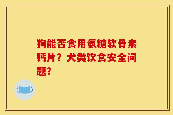 狗能否食用氨糖软骨素钙片？犬类饮食安全问题？