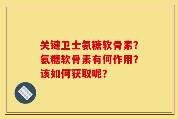 关键卫士氨糖软骨素？氨糖软骨素有何作用？该如何获取呢？