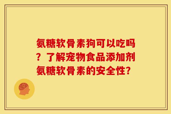 氨糖软骨素狗可以吃吗？了解宠物食品添加剂氨糖软骨素的安全性？