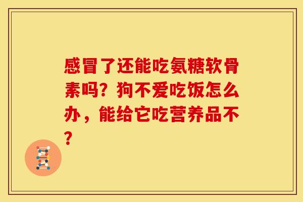 感冒了还能吃氨糖软骨素吗？狗不爱吃饭怎么办，能给它吃营养品不？