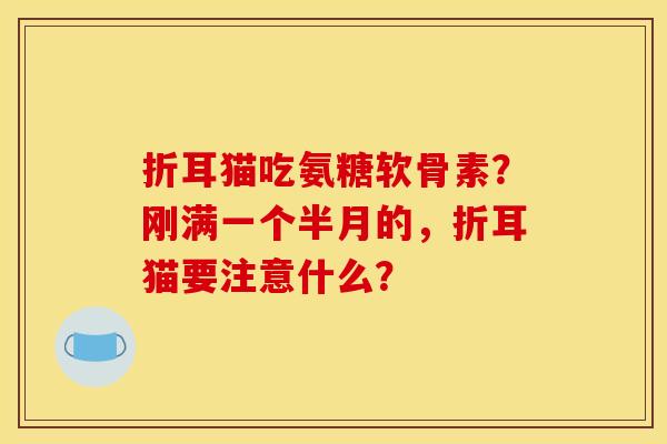 折耳猫吃氨糖软骨素？刚满一个半月的，折耳猫要注意什么？