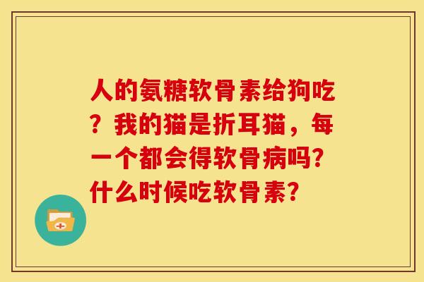 人的氨糖软骨素给狗吃？我的猫是折耳猫，每一个都会得软骨病吗？什么时候吃软骨素？