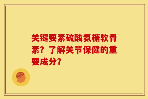 关键要素硫酸氨糖软骨素？了解关节保健的重要成分？