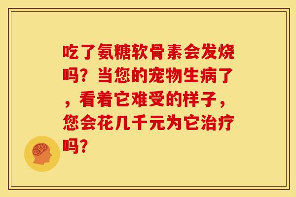 吃了氨糖软骨素会发烧吗？当您的宠物生病了，看着它难受的样子，您会花几千元为它治疗吗？