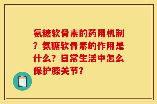 氨糖软骨素的药用机制？氨糖软骨素的作用是什么？日常生活中怎么保护膝关节？