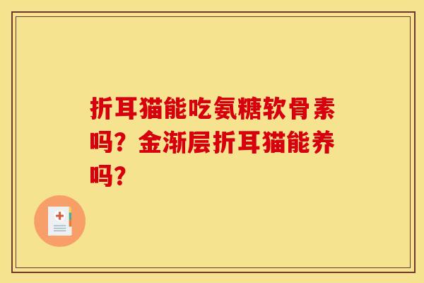 折耳猫能吃氨糖软骨素吗？金渐层折耳猫能养吗？