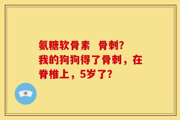 氨糖软骨素  骨刺？我的狗狗得了骨刺，在脊椎上，5岁了？