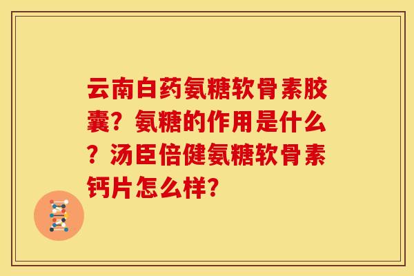 云南白药氨糖软骨素胶囊？氨糖的作用是什么？汤臣倍健氨糖软骨素钙片怎么样？