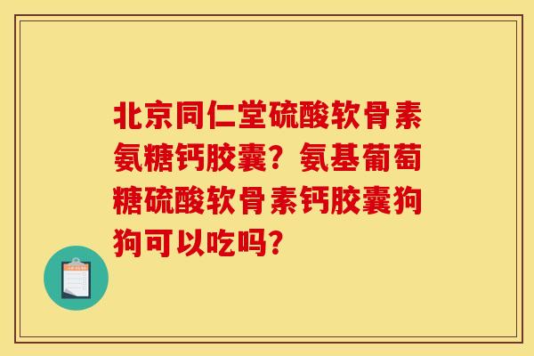 北京同仁堂硫酸软骨素氨糖钙胶囊？氨基葡萄糖硫酸软骨素钙胶囊狗狗可以吃吗？