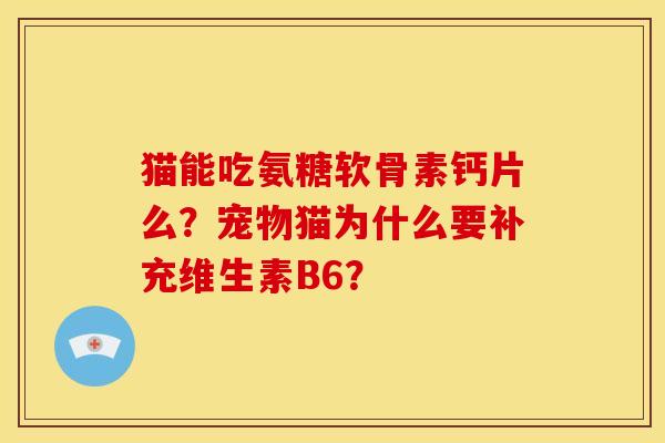 猫能吃氨糖软骨素钙片么？宠物猫为什么要补充维生素B6？