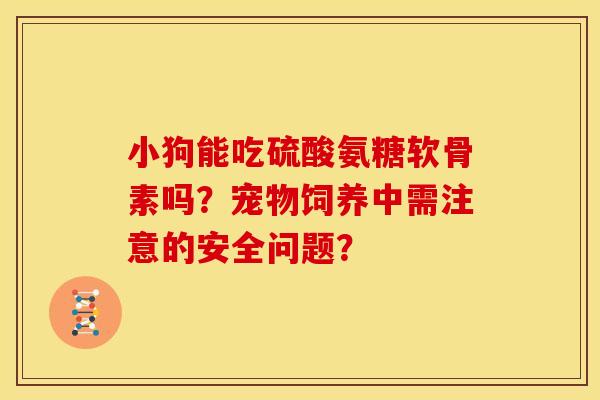 小狗能吃硫酸氨糖软骨素吗？宠物饲养中需注意的安全问题？