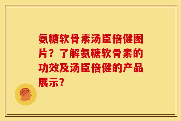氨糖软骨素汤臣倍健图片？了解氨糖软骨素的功效及汤臣倍健的产品展示？