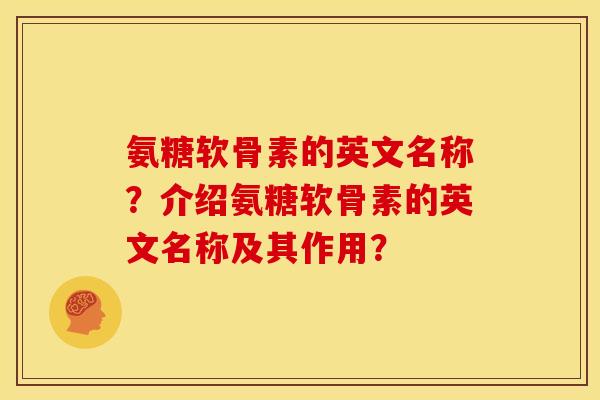 氨糖软骨素的英文名称？介绍氨糖软骨素的英文名称及其作用？