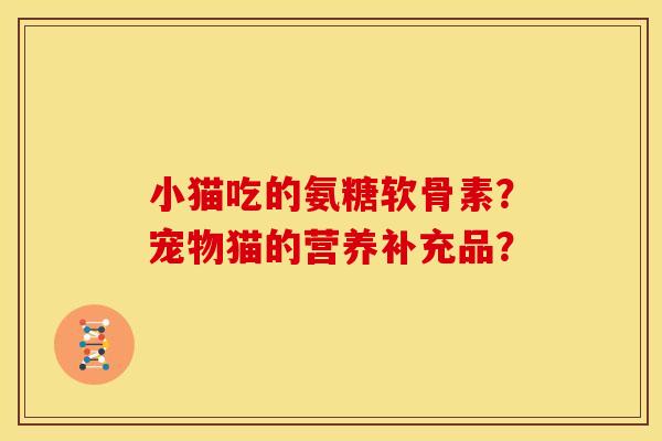 小猫吃的氨糖软骨素？宠物猫的营养补充品？