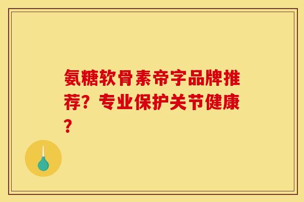 氨糖软骨素帝字品牌推荐？专业保护关节健康？