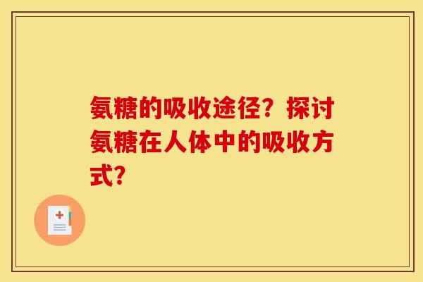 氨糖的吸收途径？探讨氨糖在人体中的吸收方式？