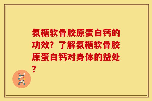 氨糖软骨胶原蛋白钙的功效？了解氨糖软骨胶原蛋白钙对身体的益处？