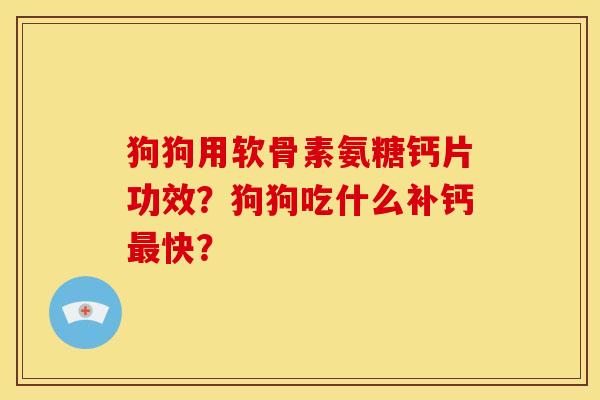 狗狗用软骨素氨糖钙片功效？狗狗吃什么补钙最快？