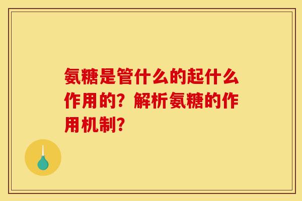 氨糖是管什么的起什么作用的？解析氨糖的作用机制？