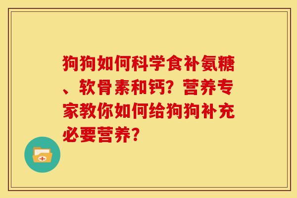 狗狗如何科学食补氨糖、软骨素和钙？营养专家教你如何给狗狗补充必要营养？