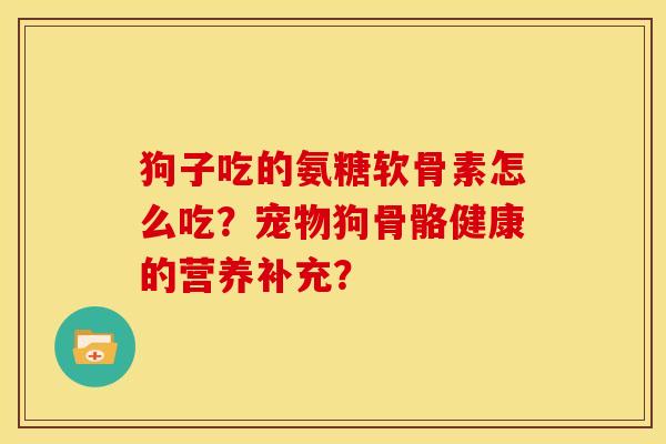 狗子吃的氨糖软骨素怎么吃？宠物狗骨骼健康的营养补充？