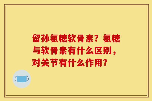 留孙氨糖软骨素？氨糖与软骨素有什么区别，对关节有什么作用？