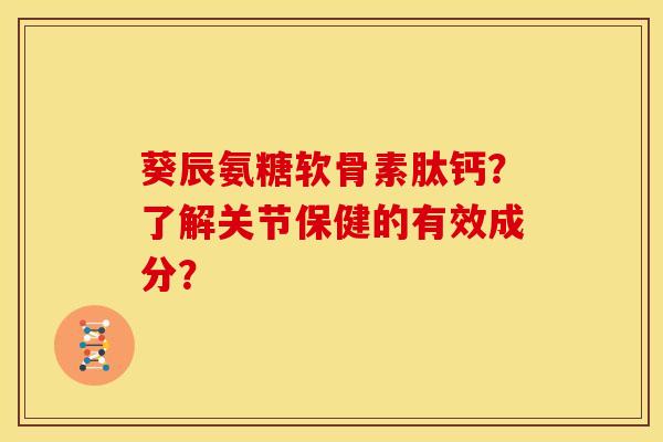 葵辰氨糖软骨素肽钙？了解关节保健的有效成分？