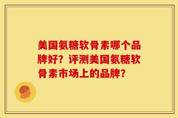 美国氨糖软骨素哪个品牌好？评测美国氨糖软骨素市场上的品牌？