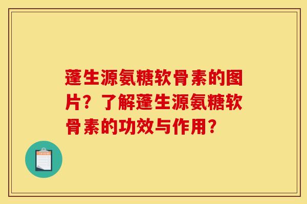 蓬生源氨糖软骨素的图片？了解蓬生源氨糖软骨素的功效与作用？