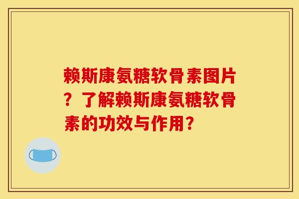 赖斯康氨糖软骨素图片？了解赖斯康氨糖软骨素的功效与作用？