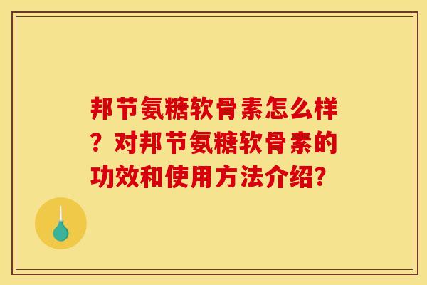 邦节氨糖软骨素怎么样？对邦节氨糖软骨素的功效和使用方法介绍？