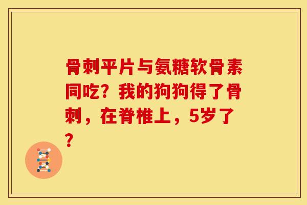 骨刺平片与氨糖软骨素同吃？我的狗狗得了骨刺，在脊椎上，5岁了？