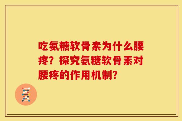 吃氨糖软骨素为什么腰疼？探究氨糖软骨素对腰疼的作用机制？