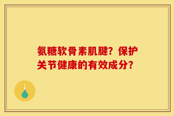 氨糖软骨素肌腱？保护关节健康的有效成分？
