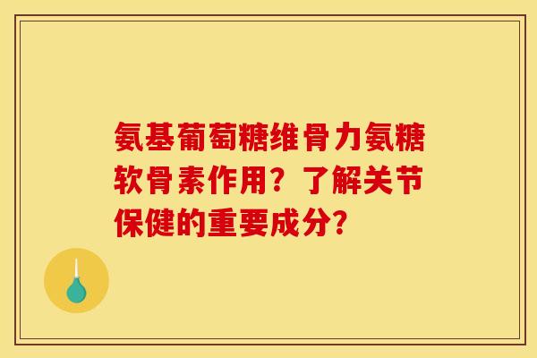 氨基葡萄糖维骨力氨糖软骨素作用？了解关节保健的重要成分？