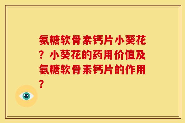 氨糖软骨素钙片小葵花？小葵花的药用价值及氨糖软骨素钙片的作用？