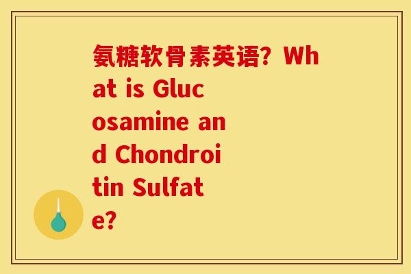 氨糖软骨素英语？What is Glucosamine and Chondroitin Sulfate？