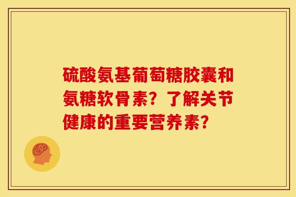 硫酸氨基葡萄糖胶囊和氨糖软骨素？了解关节健康的重要营养素？
